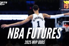 勒布朗·詹姆斯湖人生涯回顾与湖人队新篇章展望